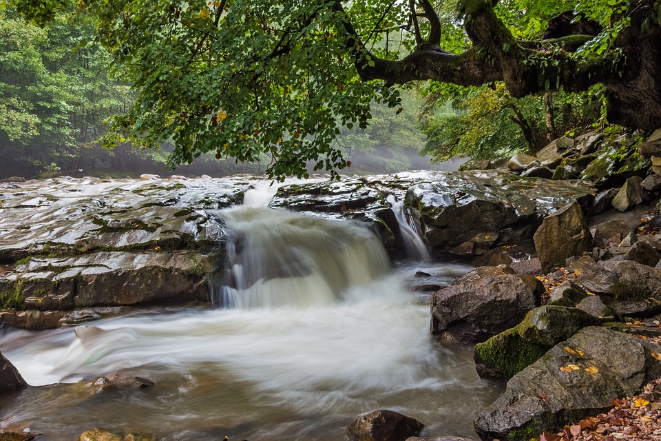 stream-967624_960_720